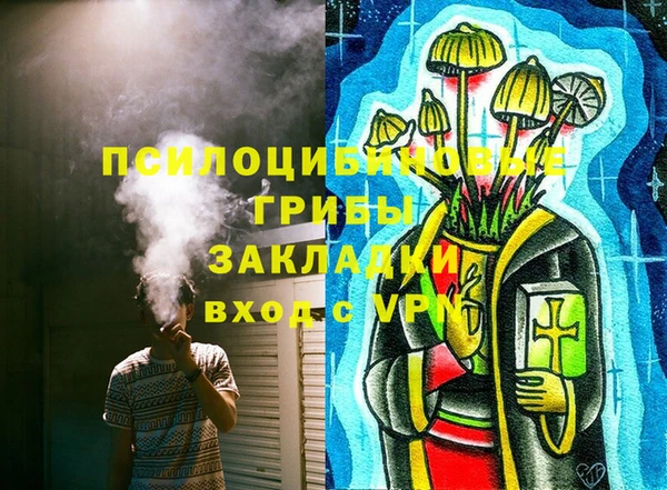 ALPHA-PVP Осинники