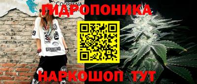 a pvp Берёзовский