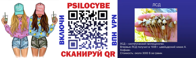 Галлюциногенные грибы Psilocybe  площадка телеграм  Волгоград  магазин  наркотиков 