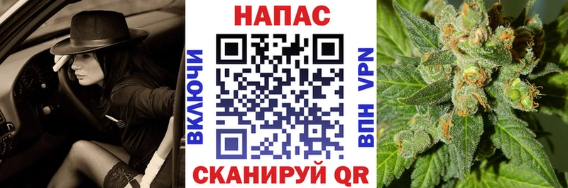 Шишки марихуана марихуана  Волгоград 
